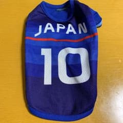 犬用 服のサムネイル
