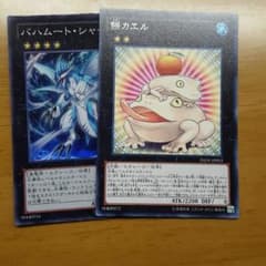 バハムートシャーク&餅カエルのサムネイル