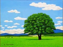 ★北海道・豊頃町ハルニレノ大木・肉筆油彩画・F6 ☆北海道・豊頃町ハルニレノ大木・肉筆油彩画・F6 - メルカリ