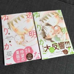 帯付き☆美品☆透明なゆりかご セットのサムネイル