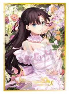 Fate/stay night 20주년 기념 콘서트 아크릴 색종이 토오사카 린