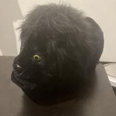 黒ライオン ぬいぐるみのサムネイル