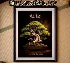 杜松 極上 盆栽 限定！コレクター必見の額入りポスター - メルカリ