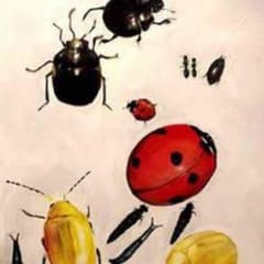 bigboyさん専用のサムネイル