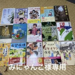 文庫本15冊まとめ売りのサムネイル
