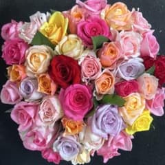 鮮度抜群‼️ 《切り花 ・生花 》おまかせミックス 30㎝SMサイズ！40本