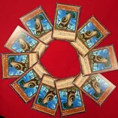 遊戯王 バオバブーン 10枚のサムネイル