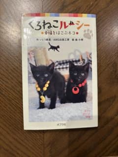 くろねこルーシー 幸福をはこぶネコ ポプラポケット文庫のサムネイル