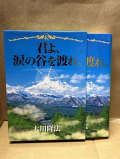 君よ、涙の谷を渡れ。 大川隆法 Rシリーズ(2410N) - メルカリ