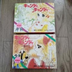 レア希少 キャンディキャンディ愛蔵版全2巻 ケース入 いがらしゆみこ 1989年 レア希少 キャンディキャンディ愛蔵版全2巻 ケース入 いがらしゆみこ