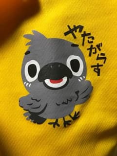 アプリコット様のサムネイル