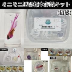 【透明標本作製キット】薬液のみ 全9種類 11点 透明標本作製キット】薬液のみ 全9種類 11点