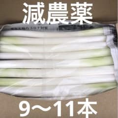 不揃いカットネギ　　　　　おいし〜いよ！ 　　A4サイズのサムネイル