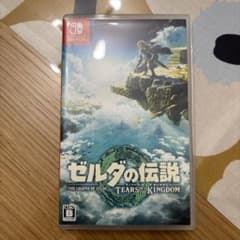 ゼルダの伝説 ティアーズ オブ ザ キングダムのサムネイル