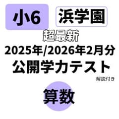 浜学園 2026年 2025年 公開学力テスト 小6 浜学園 即発送 模試 - メルカリ
