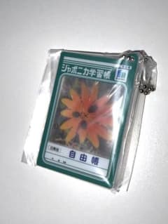 ジャポニカ学習帳 豆学習帳 ガチャのサムネイル