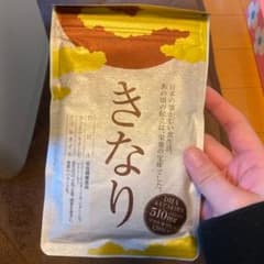 さくらの森 きなりのサムネイル