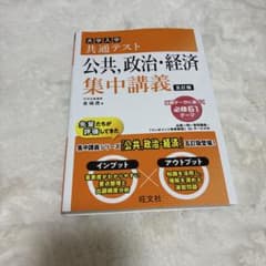 大学入試 共通テスト 公共・政治・経済 集中講義 改訂版のサムネイル