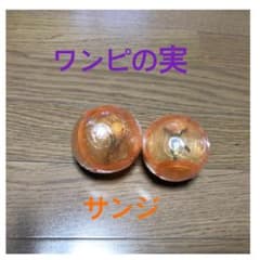 ワンピの実（サンジ）のサムネイル