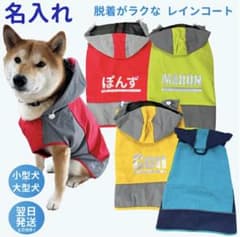 【人気で品切れ中！】中型犬用レインコート8号名前入りカッパ雨具・レッド赤のサムネイル