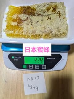 日本みつばち　巣蜜　天然　434g おすすめ　優しい味のサムネイル