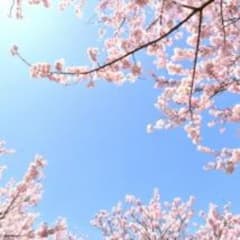 送料分のサムネイル