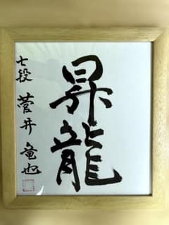 【直筆/極美品】菅井竜也 七段 色紙『昇龍』特殊額装のサムネイル