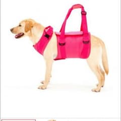 犬  ペット ハーネス リード 介護 歩行補助 LaLaWalk 大型犬 中型犬のサムネイル