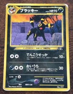 旧裏 ポケモンカード ブラッキー プレミアムファイル2 プロモ 第2世代