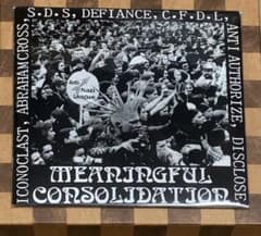 MEANINGFUL CONSOLIDATION ハードコアパンク レコード