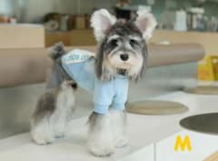 犬服 スウェット ライトブルー GOODEST BOYZのサムネイル