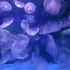とも☆様 専用のサムネイル