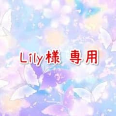 Lily様 専用ページのサムネイル