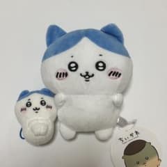 하치와레 치이카와 쿠리 만주와 함께 봉제 인형 마스코트 세트