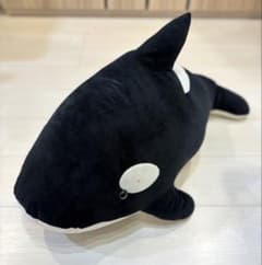 鴨川シーワールド シャチくじ1等 ぬいぐるみ - メルカリ