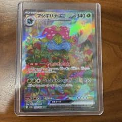 フシギバナ　SARのサムネイル