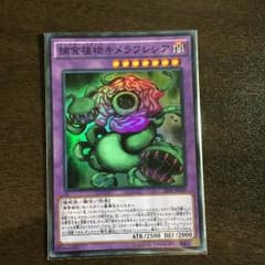 捕食植物キメラフレシア srのサムネイル