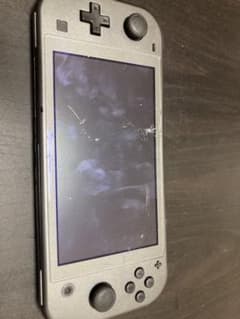 専用(ジャンク品)Nintendo Switch Lightのサムネイル