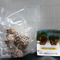 やちむん家 新垣優 シーサー ミニチュアフィギュア 白のサムネイル
