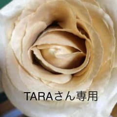 ロングスカートのサムネイル