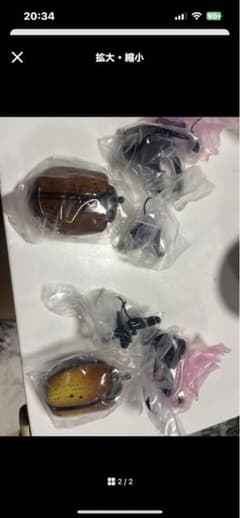 ゾウカブトとヘラクレスオオカブト ガチャのサムネイル