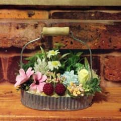 ブリキ缶の寄せ植え⑥のサムネイル