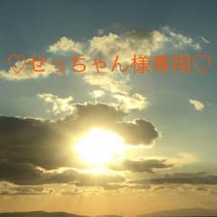 せっちゃん様専用のサムネイル