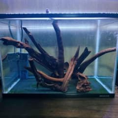 ※流木まとめ売り②※のサムネイル