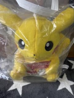 ポケットモンスター 30周年記念 一番くじ ラストワン賞 ピカチュウのサムネイル