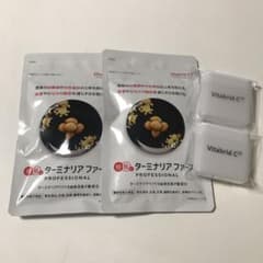 ビタブリッドジャパン ターミナリアファースト 120粒のサムネイル