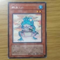 粋カエルのサムネイル