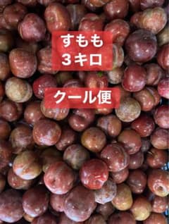鹿児島産すもも3キロ - メルカリ