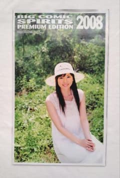 女子アナ写真集 2008 電波の女神たち スピリッツ新装刊記念特製ブックレットのサムネイル