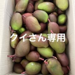 摘果マンゴー5kgのサムネイル